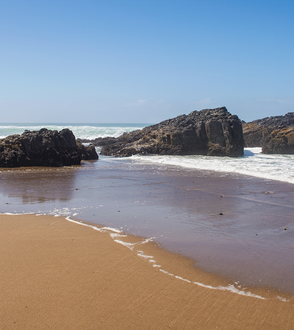 NEARBY RESTAURANTS, SHOPPING AND MORE AWAIT GUESTS OF OUR OCEANSIDE CABINS