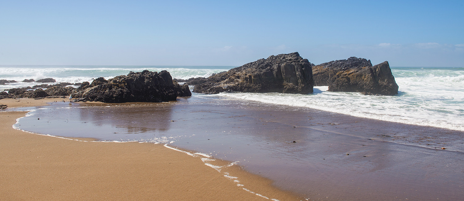 NEARBY RESTAURANTS, SHOPPING AND MORE AWAIT GUESTS OF OUR OCEANSIDE CABINS